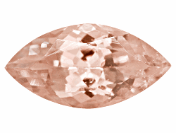 ACTBG22685