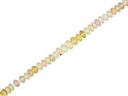 OPB004