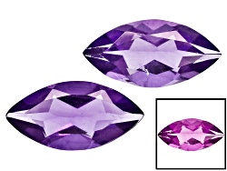 FLM004