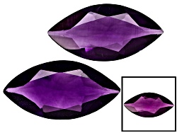 FLM005