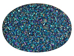 DSV013